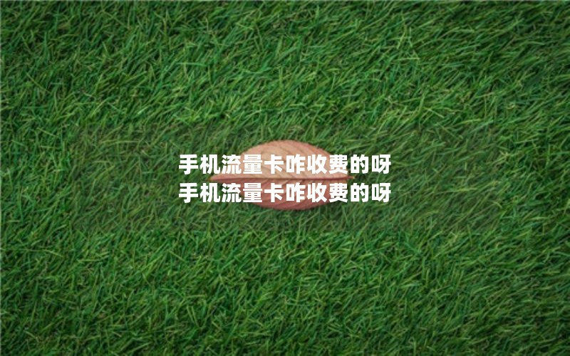 手机流量卡咋收费的呀 手机流量卡咋收费的呀