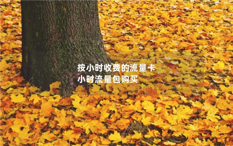 按小时收费的流量卡 小时流量包购买