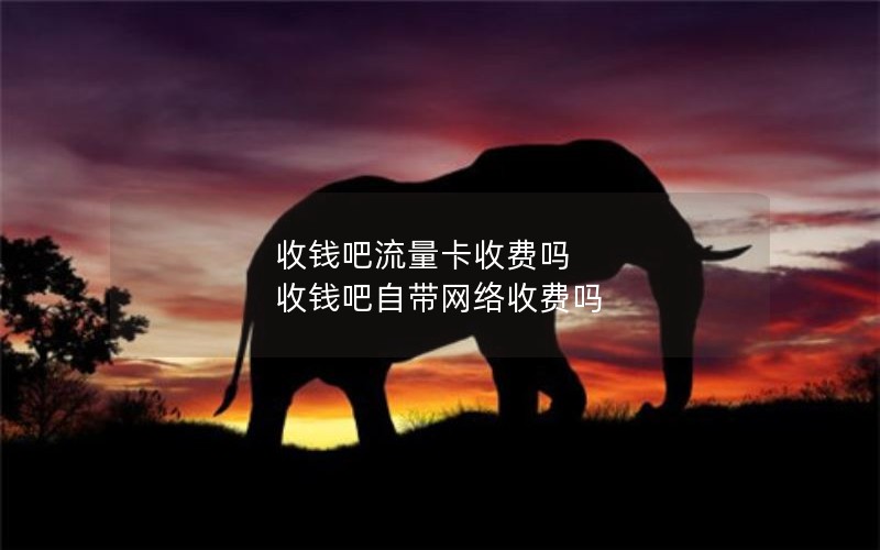 收钱吧流量卡收费吗 收钱吧自带网络收费吗