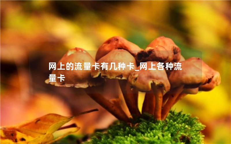 网上的流量卡有几种卡_网上各种流量卡