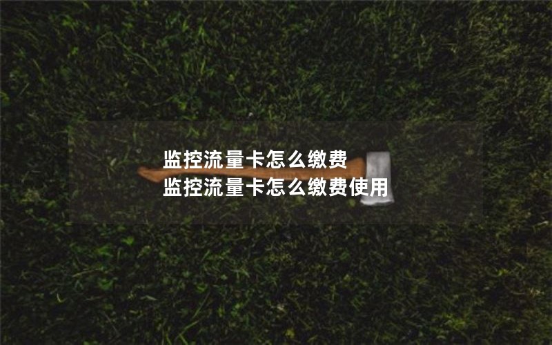 监控流量卡怎么缴费 监控流量卡怎么缴费使用