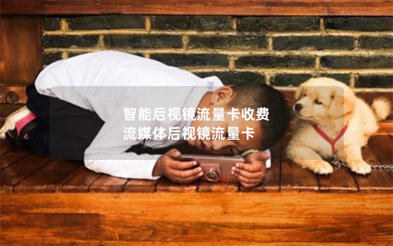 智能后视镜流量卡收费 流媒体后视镜流量卡