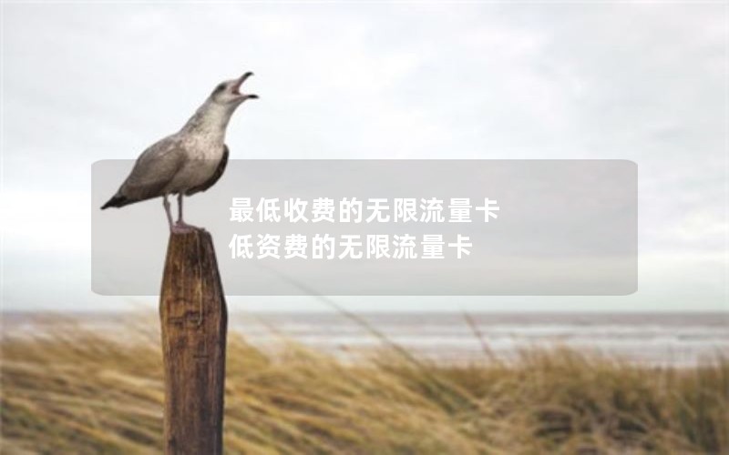 最低收费的无限流量卡 低资费的无限流量卡