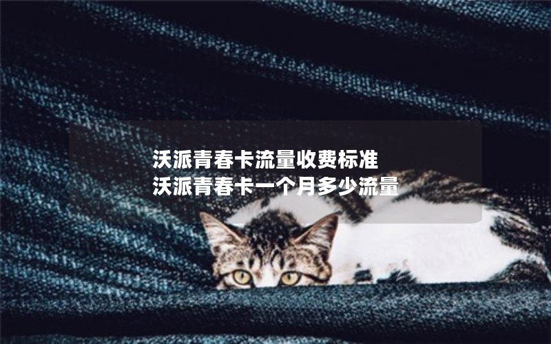 2024年电信流量卡套餐 实名登记-电信流量卡实名制