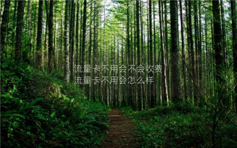 流量卡不用会不会收费 流量卡不用会怎么样