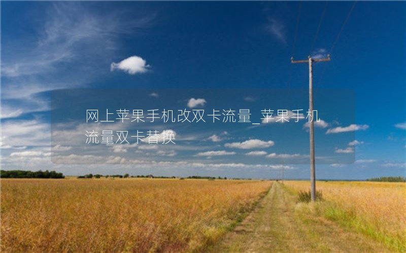 网上苹果手机改双卡流量_苹果手机流量双卡替换