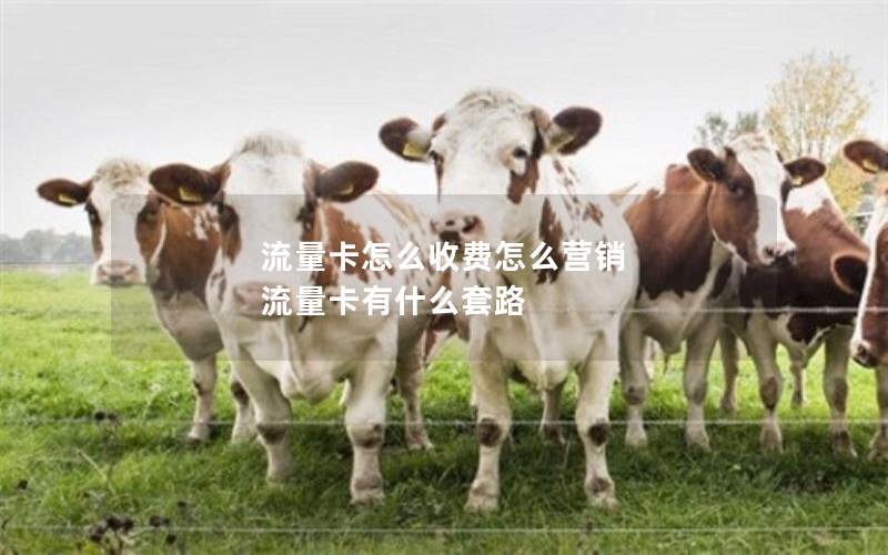 流量卡怎么收费怎么营销 流量卡有什么套路