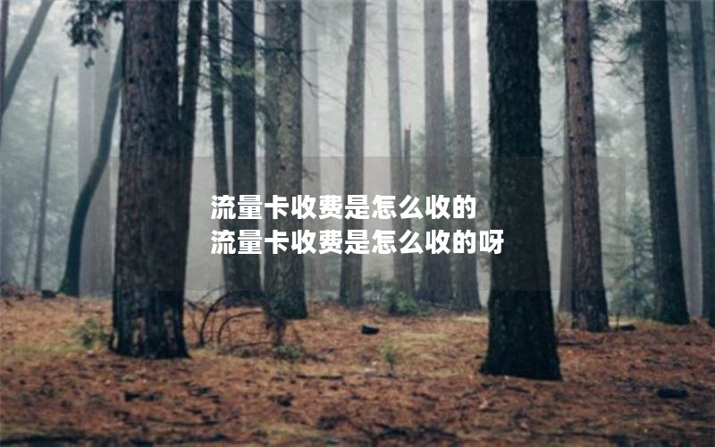 流量卡收费是怎么收的 流量卡收费是怎么收的呀