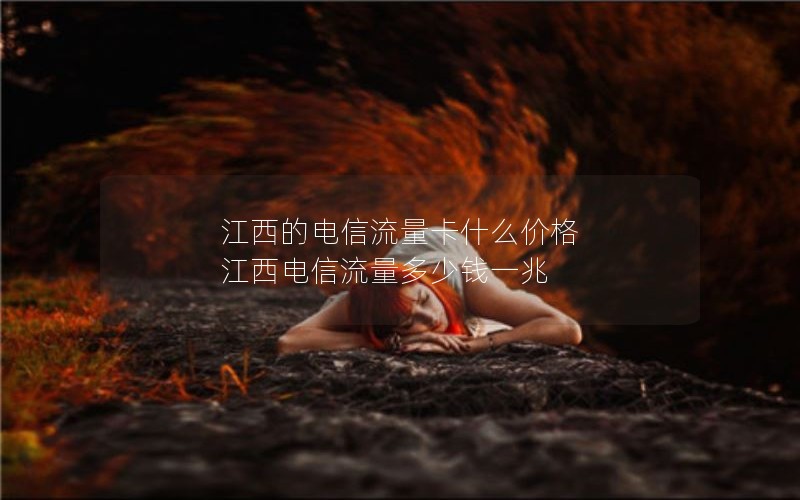 江西的电信流量卡什么价格 江西电信流量多少钱一兆