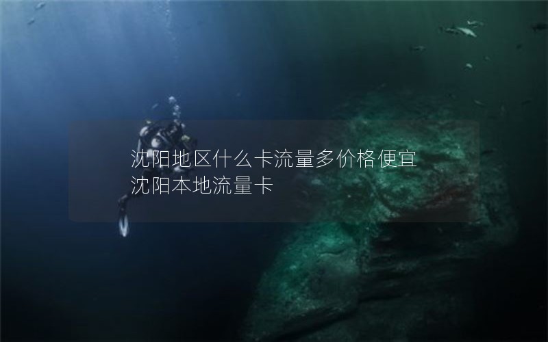 沈阳地区什么卡流量多价格便宜 沈阳本地流量卡