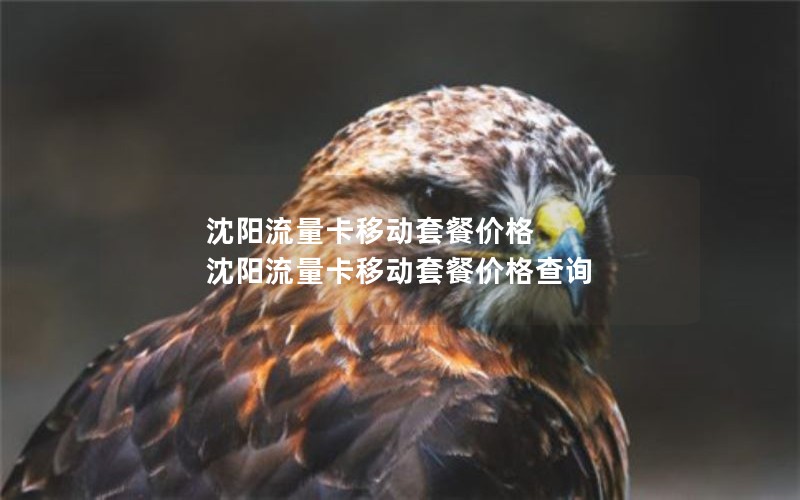 沈阳流量卡移动套餐价格 沈阳流量卡移动套餐价格查询