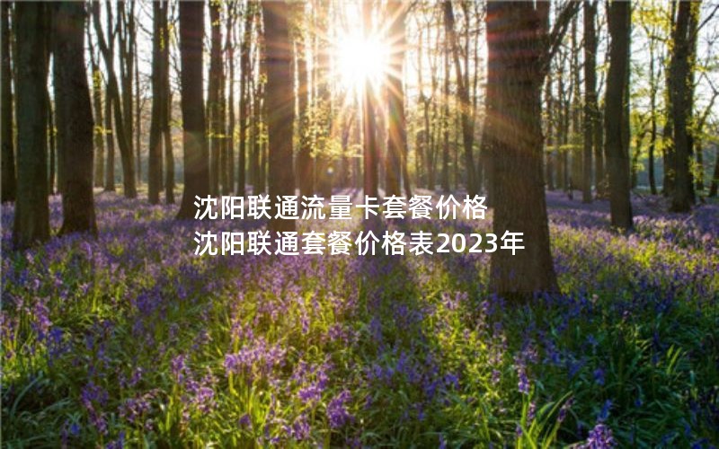 沈阳联通流量卡套餐价格 沈阳联通套餐价格表2023年