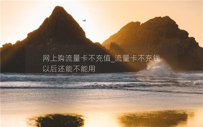 网上购流量卡不充值_流量卡不充钱以后还能不能用