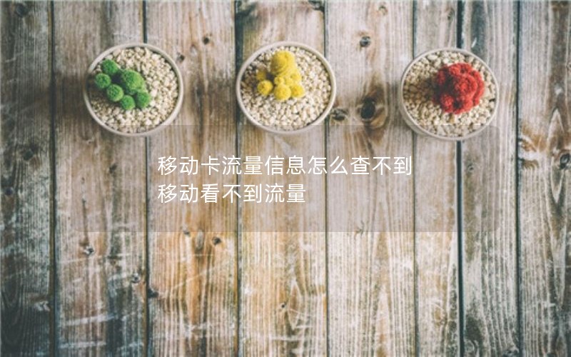 移动卡流量信息怎么查不到 移动看不到流量