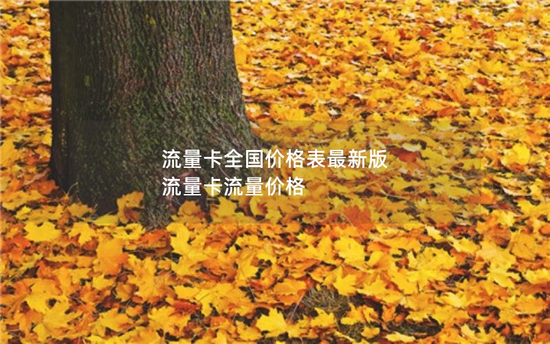 南安市2024年电信流量卡套餐-南平电信流量套餐