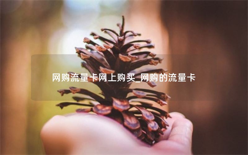 网购流量卡网上购买_网购的流量卡