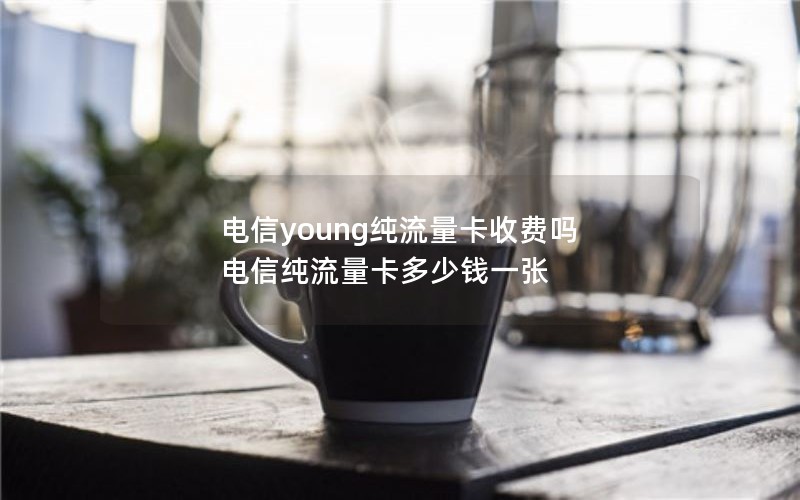 电信young纯流量卡收费吗 电信纯流量卡多少钱一张