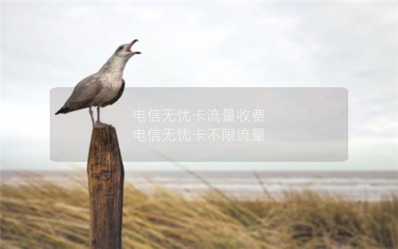 电信无忧卡流量收费 电信无忧卡不限流量