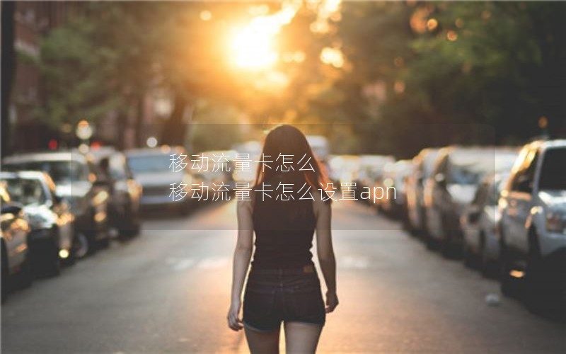 移动流量卡怎么 移动流量卡怎么设置apn