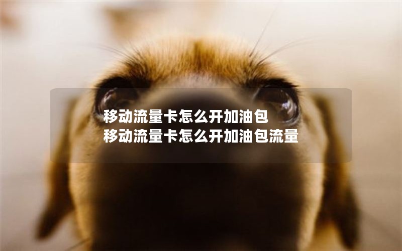 移动流量卡怎么开加油包 移动流量卡怎么开加油包流量