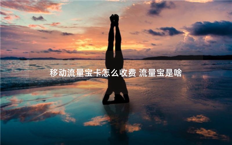 移动流量宝卡怎么收费 流量宝是啥