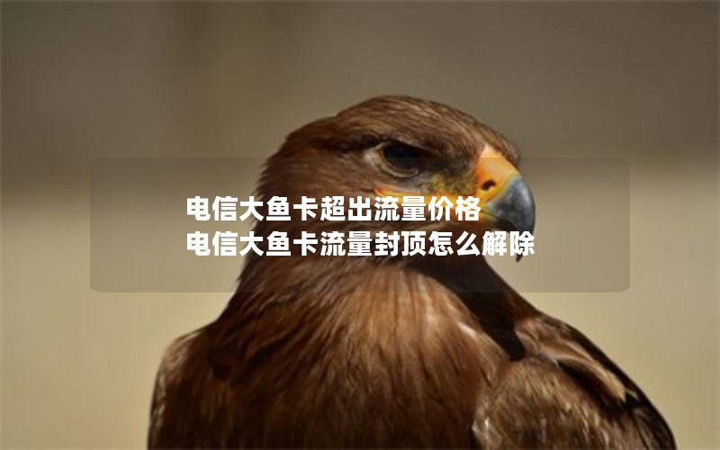 电信大鱼卡超出流量价格 电信大鱼卡流量封顶怎么解除