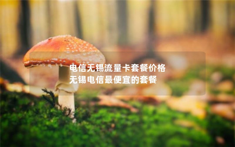 执掌无限流量卡2024年电信套餐-电信卡无限流量卡套餐多少一个月