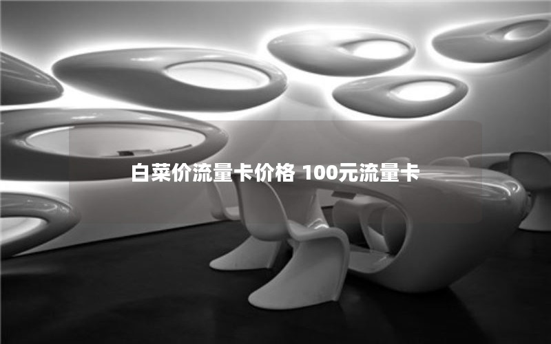 白菜价流量卡价格 100元流量卡