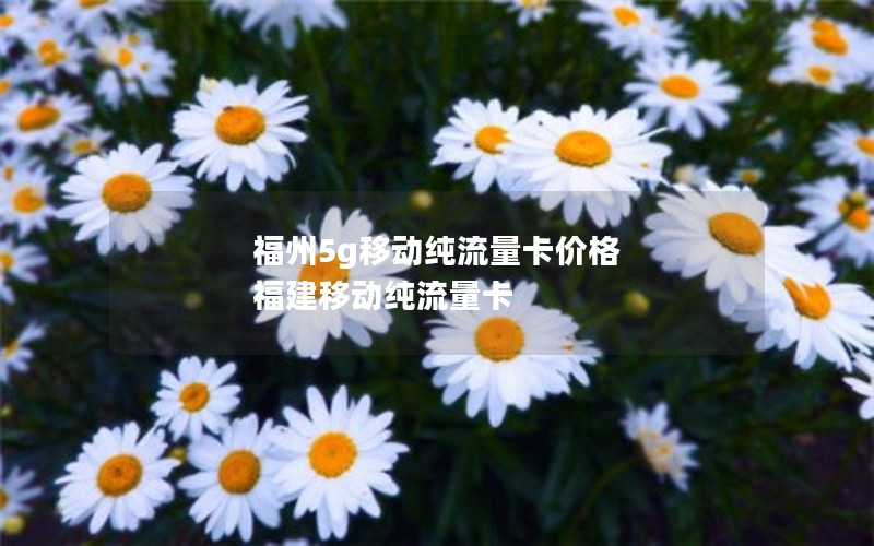 新疆专属2024年电信流量卡套餐-新疆电信套餐价格表2020