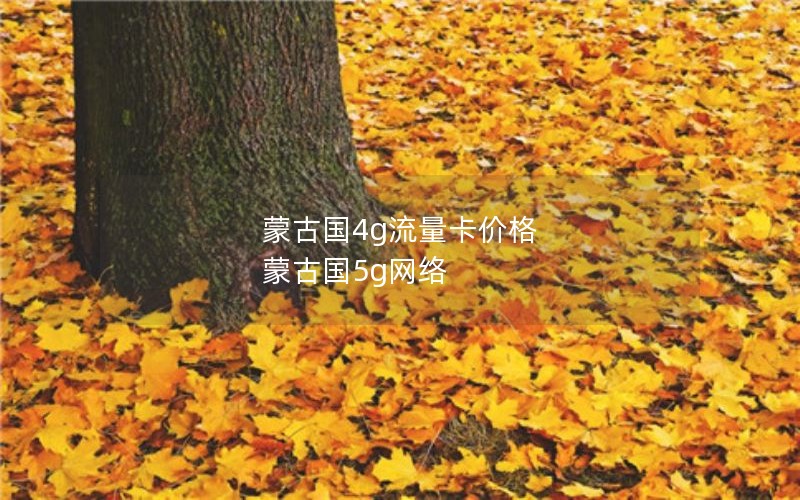 沛县2024年电信流量卡套餐查询-徐州电信手机卡套餐