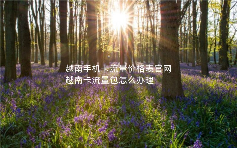 越南手机卡流量价格表官网 越南卡流量包怎么办理