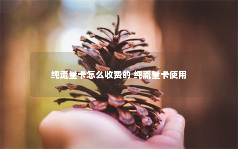 纯流量卡怎么收费的 纯流量卡使用