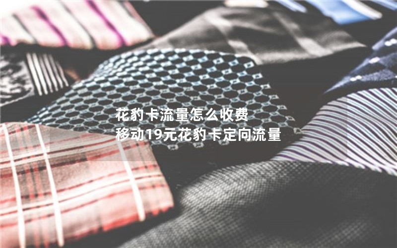花豹卡流量怎么收费 移动19元花豹卡定向流量