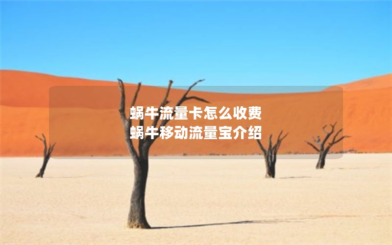 蜗牛流量卡怎么收费 蜗牛移动流量宝介绍