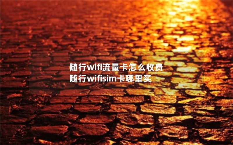 随行wifi流量卡怎么收费 随行wifisim卡哪里买