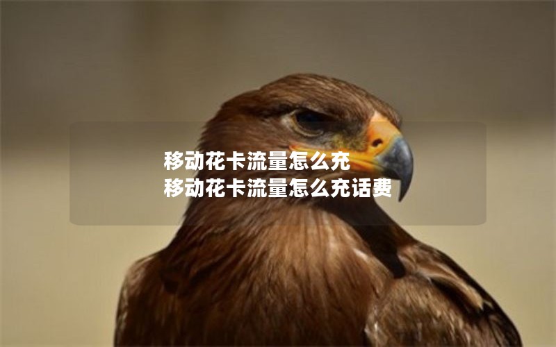 移动花卡流量怎么充 移动花卡流量怎么充话费