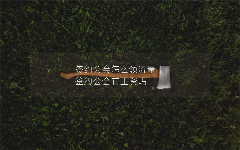 苹果132024年电信流量卡套餐-苹果电信流量太卡怎么办