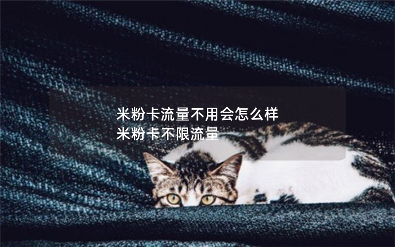 2025年中国移动大流量卡加通话