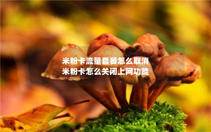 电话亭打卡拍照神器大揭秘这样拍让你秒变时尚大片主角