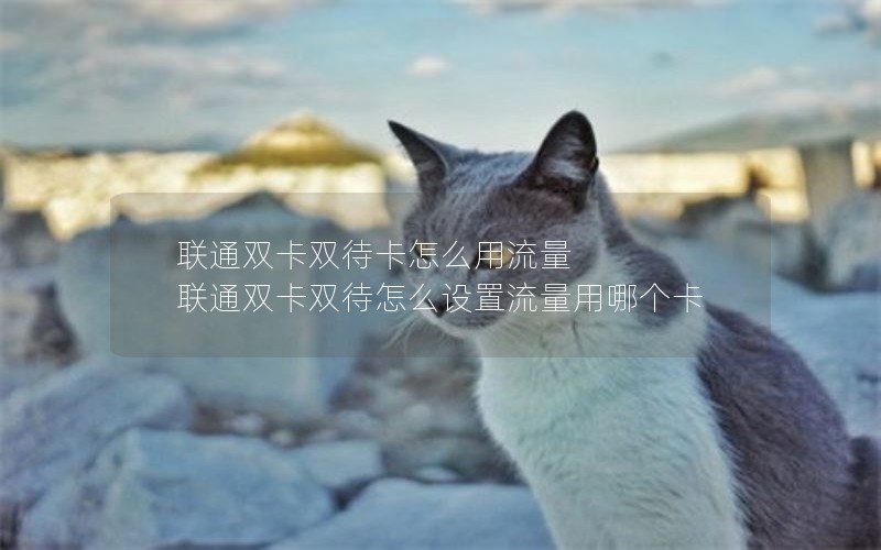联通双卡双待卡怎么用流量 联通双卡双待怎么设置流量用哪个卡