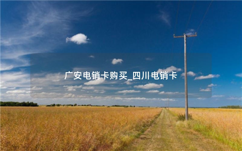 wifi流量卡套餐介绍_wifi流量卡是什么