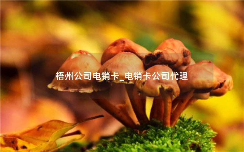 移动套餐最便宜的流量卡_移动比较便宜的流量套餐