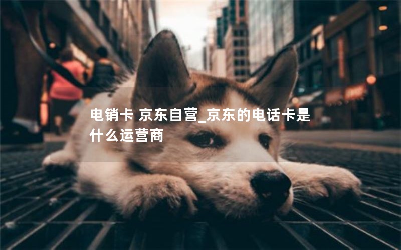 适合学生流量多的电话卡_学生用什么电话卡流量多