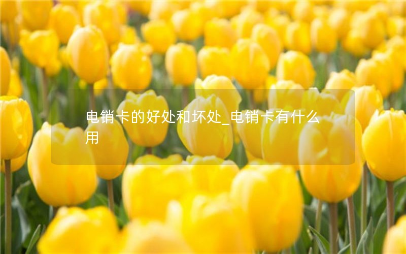 无套餐移动纯流量卡能用吗