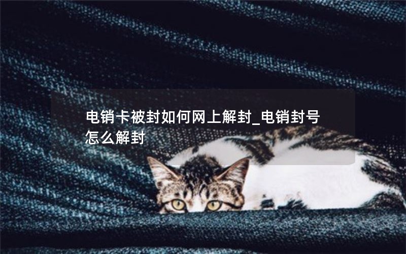 电信日租卡打电信_电信日租卡打电信客服电话