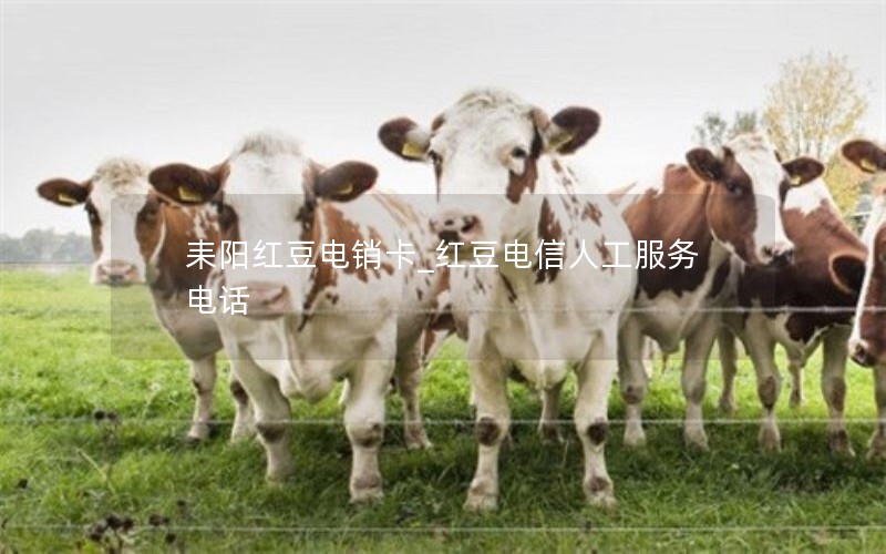 耒阳红豆电销卡_红豆电信人工服务电话
